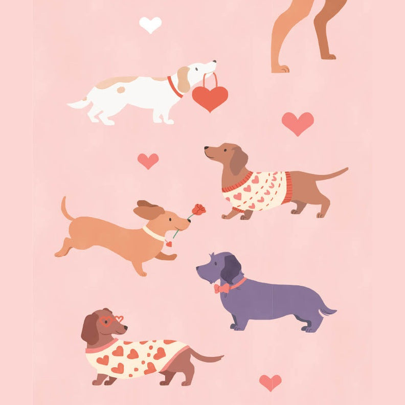 Carte des decks de la Saint-Valentin