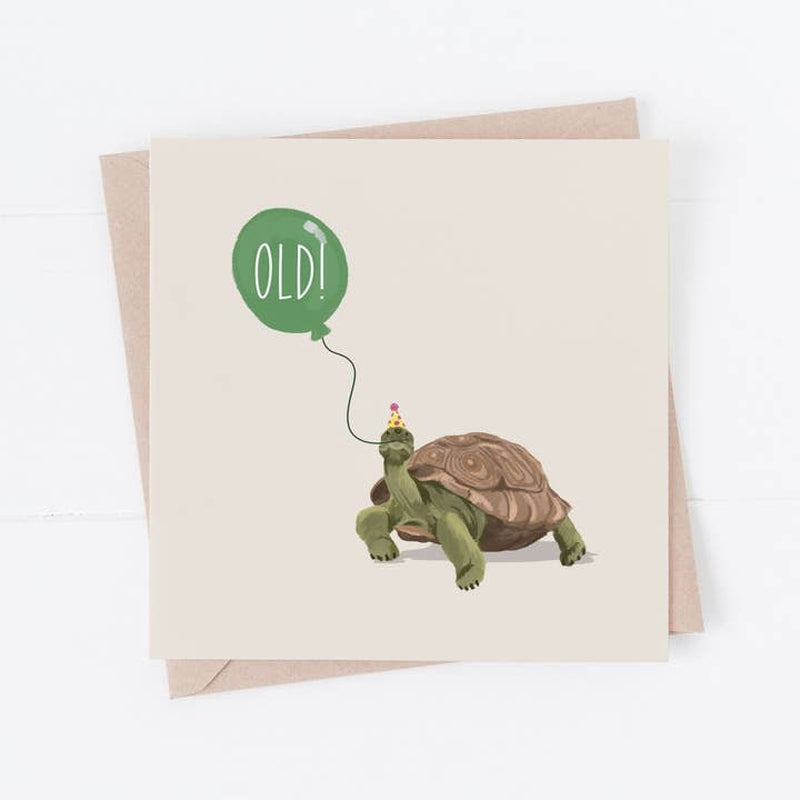 Carte ancienne | Tortue