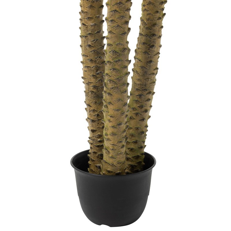 J-Line Palmboom 3D In Pot | Plastic Groen | 175x180x300cm Krossproducts | De online winkel voor hebbedingetjes