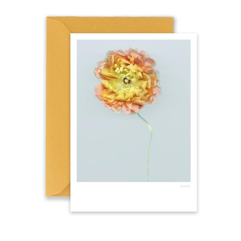 Carte Ranunculus 01