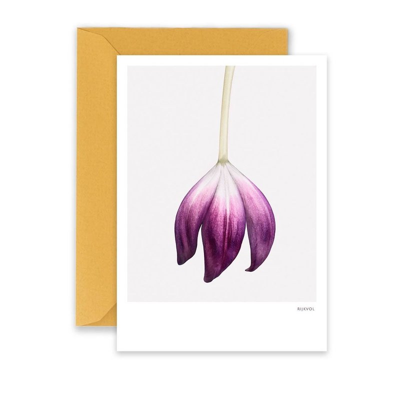 Carte Tulip 02