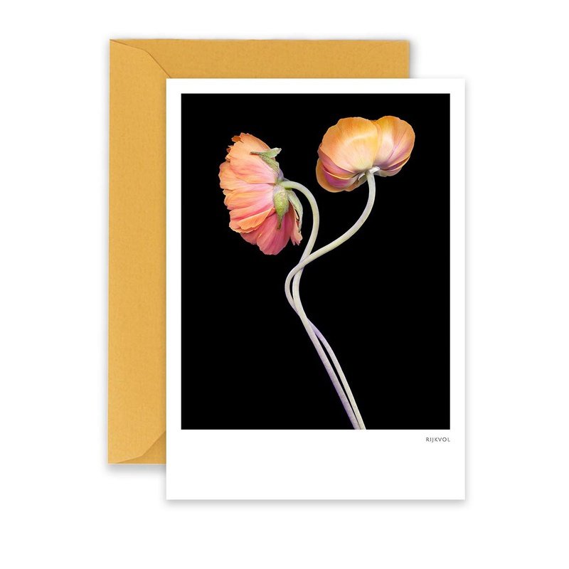 Kaart Black Edition Ranunculus 02