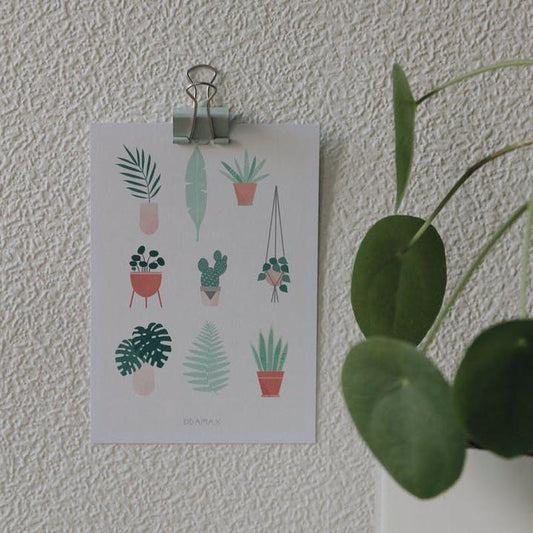 Kaart Plants + Envelop