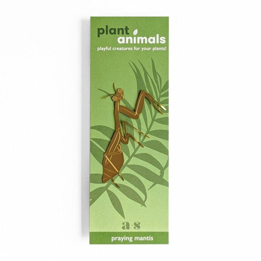 Planten diertje bidsprinkhaan
