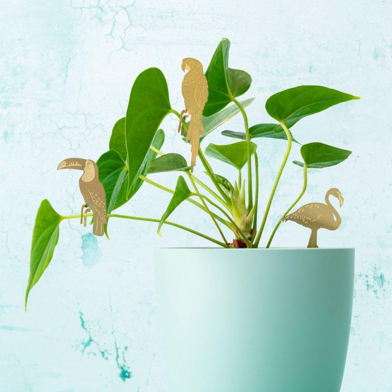 Planten diertje Papegaai