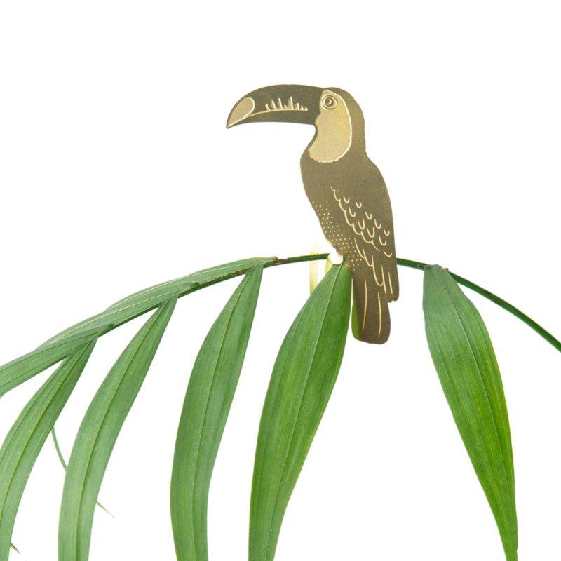 Planten diertje Toekan