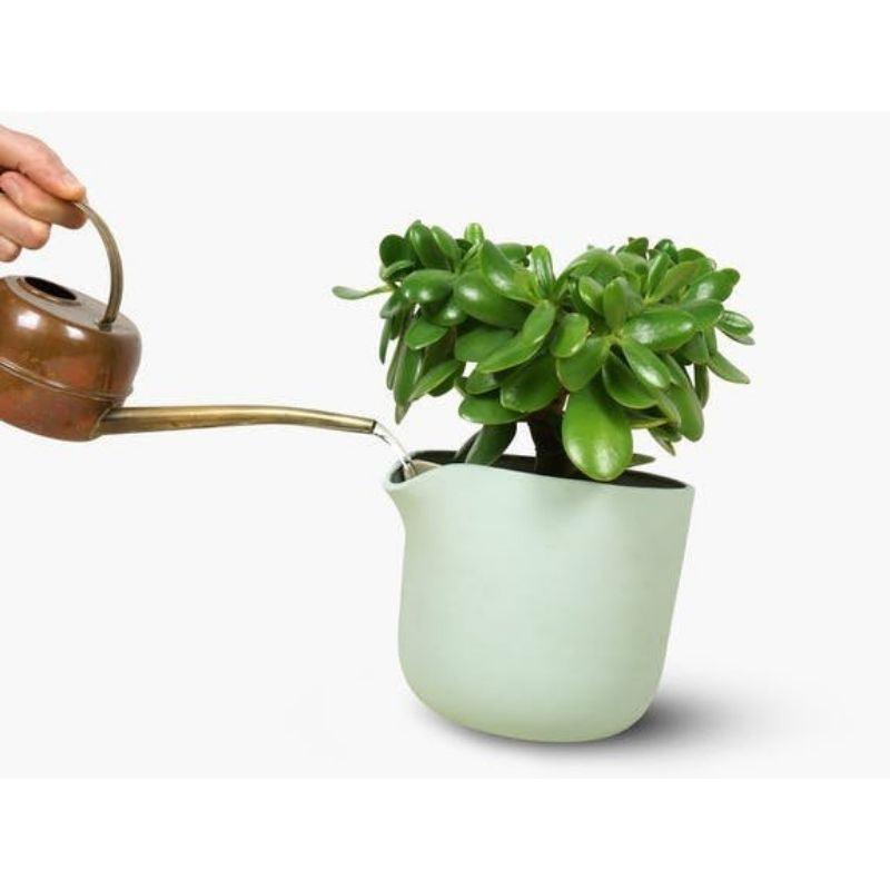 Studio Lorier Natural Balance | Mint Green Krossproducts | De online winkel voor hebbedingetjes