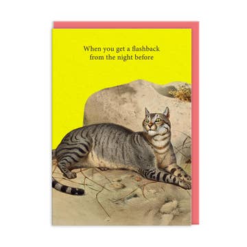 Kaart Flashbacks