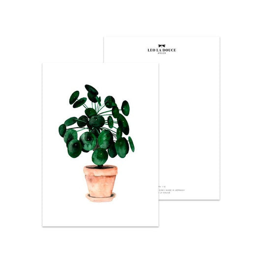 Carte Pilea | Une enveloppe