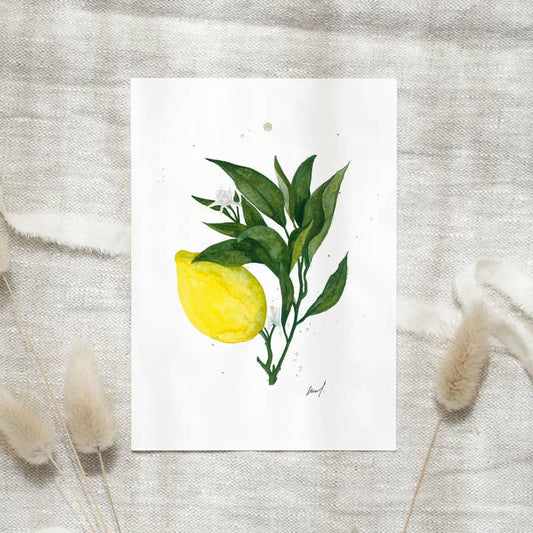 Kaart Lemons
