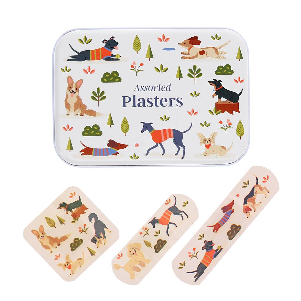 Pleisters In Blik