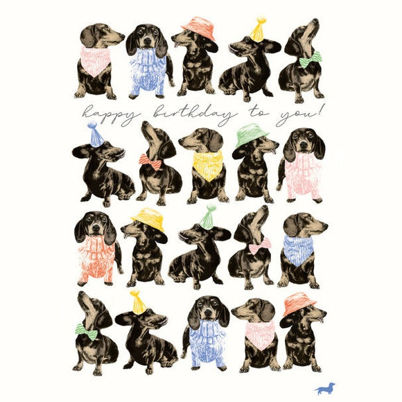 Kaart Happy Birthday To You! | Teckels