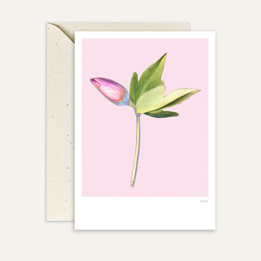 Kaart Hellebore 02