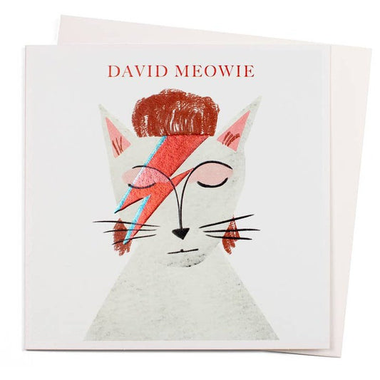 Kaart David Meowie Krossproducts | De online winkel voor hebbedingetjes
