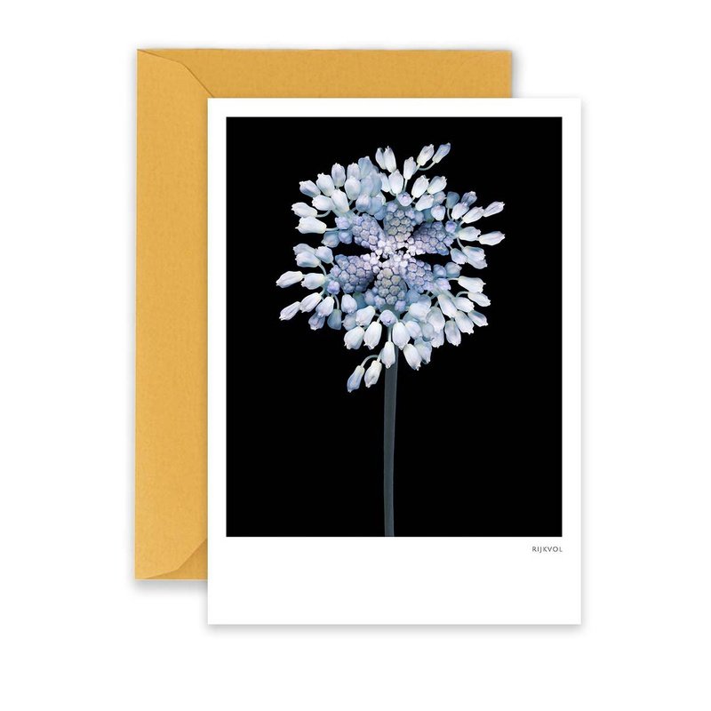 Kaart Black Edition Flower Collage 03